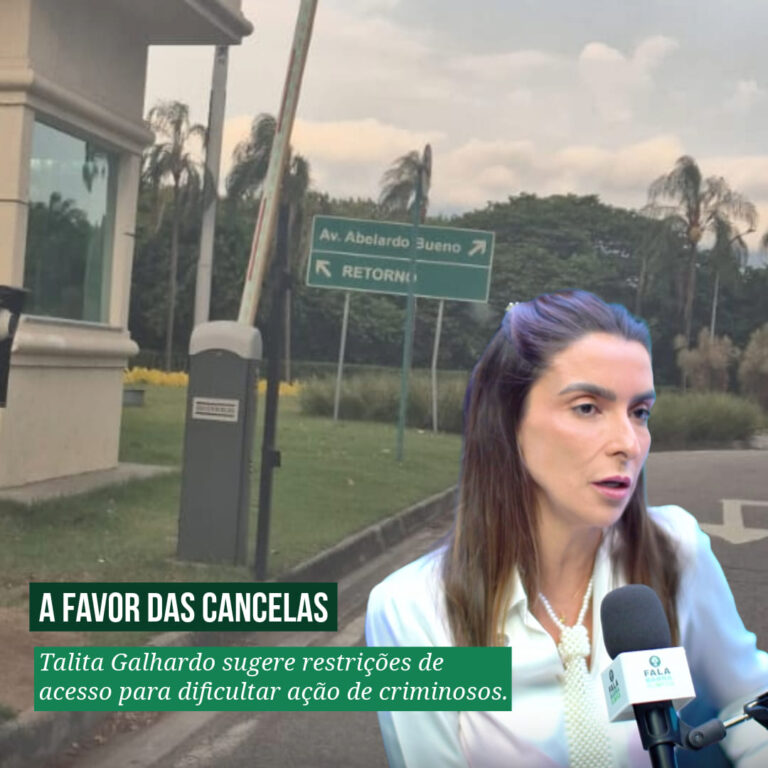 Segurança na Região: Talita Galhardo Defende Medidas Para Reduzir Assaltos